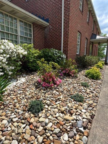 Transforming Morgantown: From Neglected to Dreamy Landscapes
