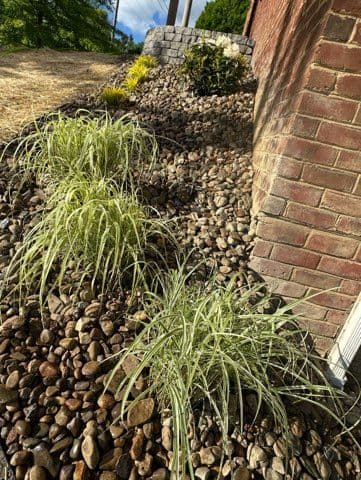 Transforming Morgantown: From Neglected to Dreamy Landscapes