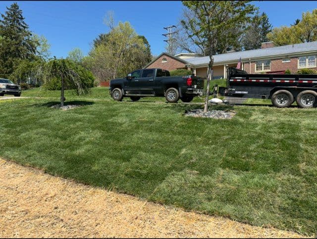 Kentucky Bluegrass Transformation in Morgantown