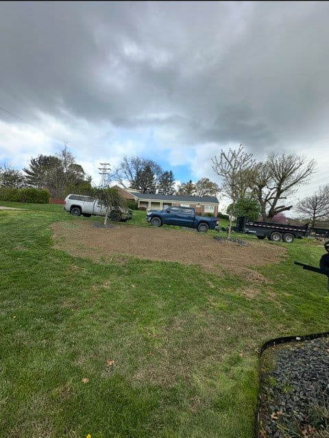 Kentucky Bluegrass Transformation in Morgantown