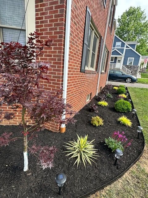 Morgantown Outdoor Oasis Renewal with Vibrant Landscape