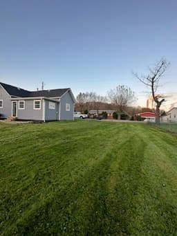 Eco-Friendly Landscaping Initiatives's image
