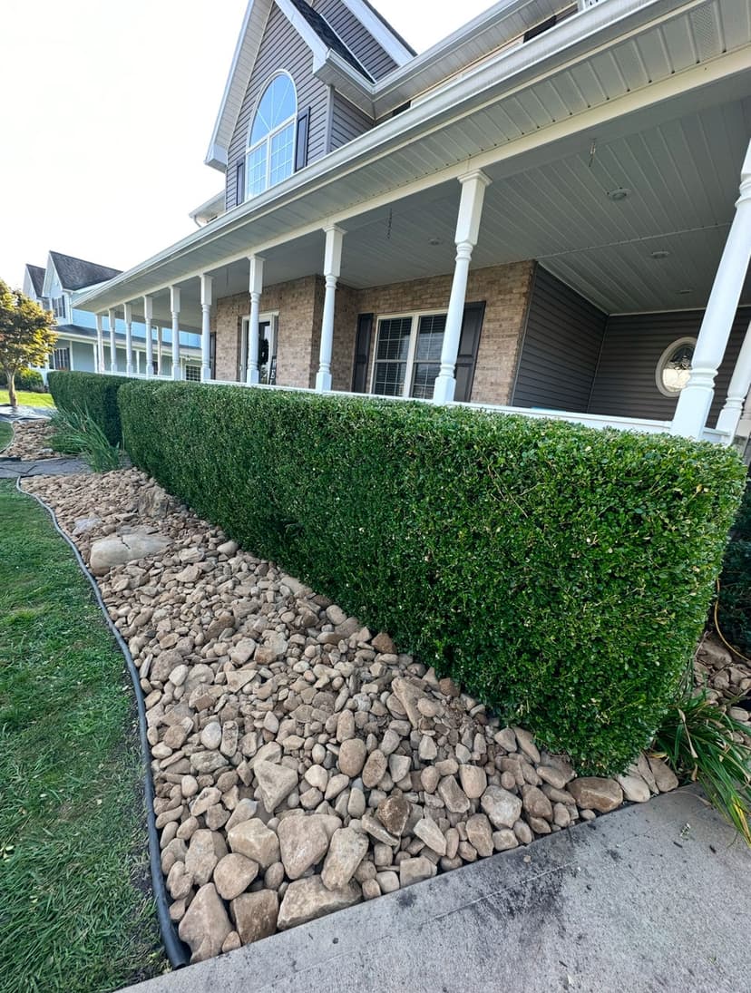 Well-manicured hedge alongside a house, with decorative rocks and a spacious porch.