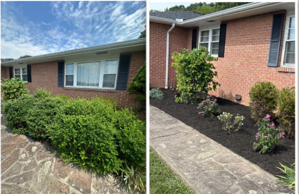 Before and after landscaping transformation with plants and fresh mulch in front of a brick home.