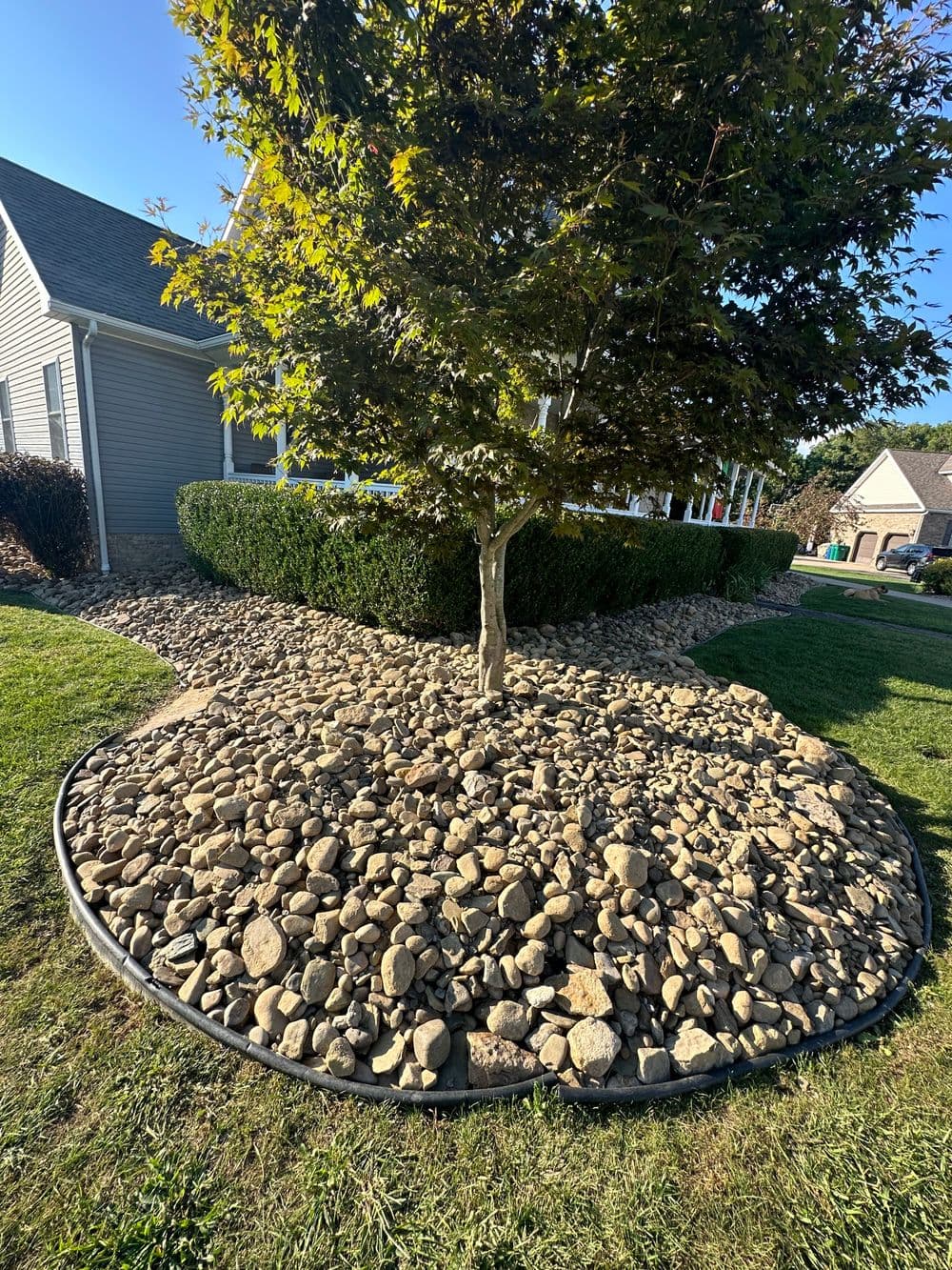 Decorative landscape featuring a tree surrounded by a bed of river rocks and green shrubs.