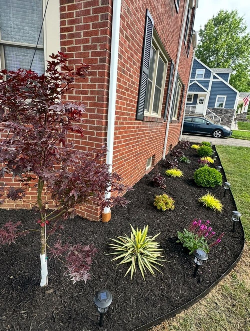 Colorful landscaping featuring a red maple tree, vibrant flowers, and solar path lights beside a brick house.